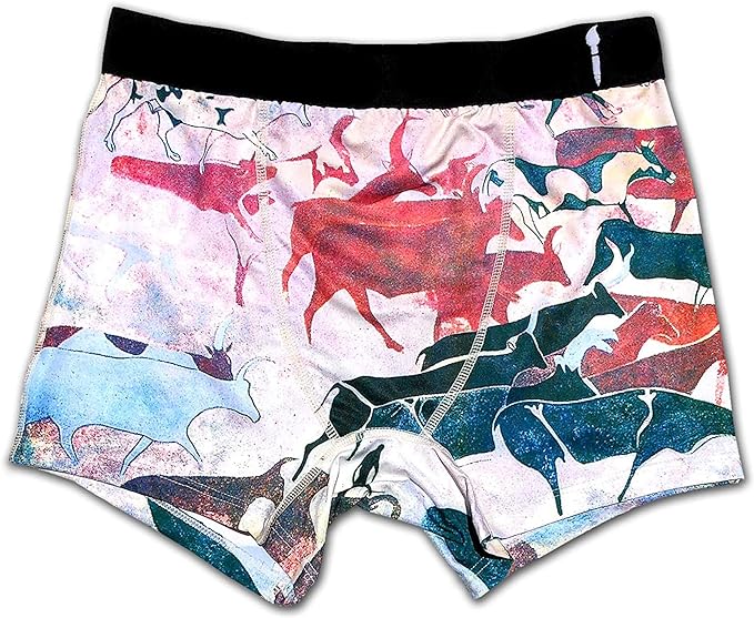 Cave Drawings - Men's Artistic Boxer Briefs