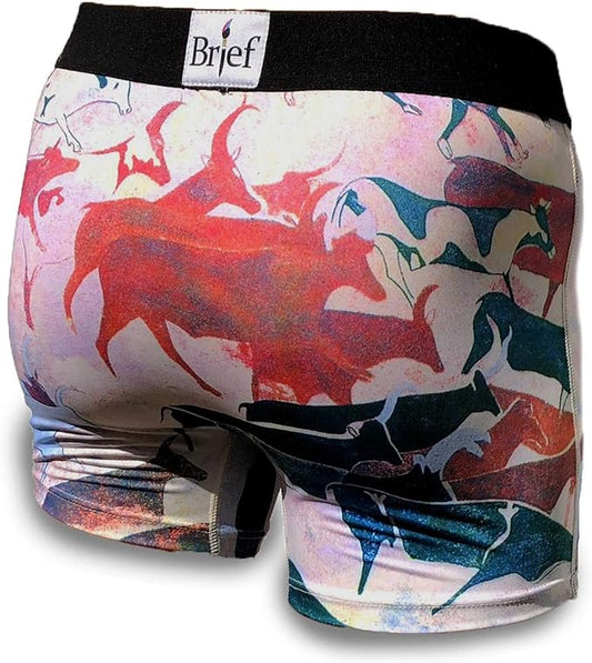 Cave Drawings - Men's Artistic Boxer Briefs